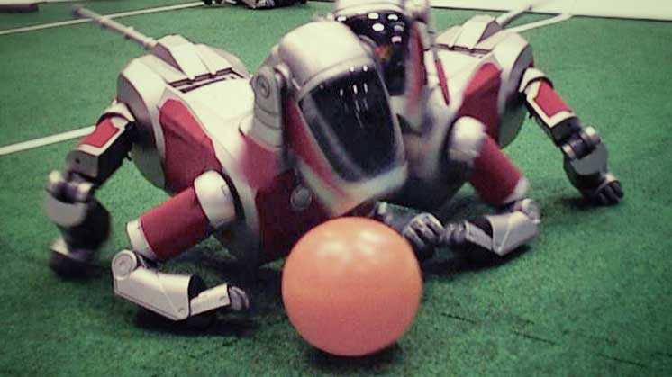 Robotic dogs on a miniature soccer pitch fighting for the ball.